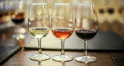 Copa para cata de vinos ISO Degustation en paquete de 6